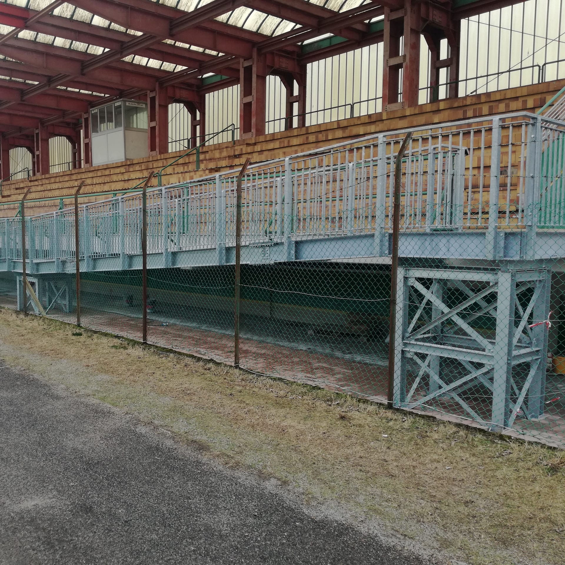 real-carp-4